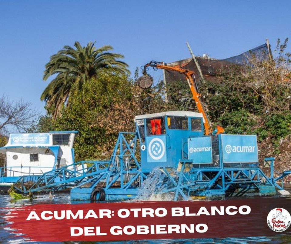 ACUMAR: otro blanco del gobierno