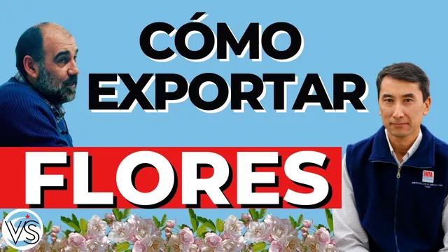 ¿Cómo exportar flores? Las potencialidades de la floricultura en la Argentina. Daniel Morisigue y Eduardo Sartelli