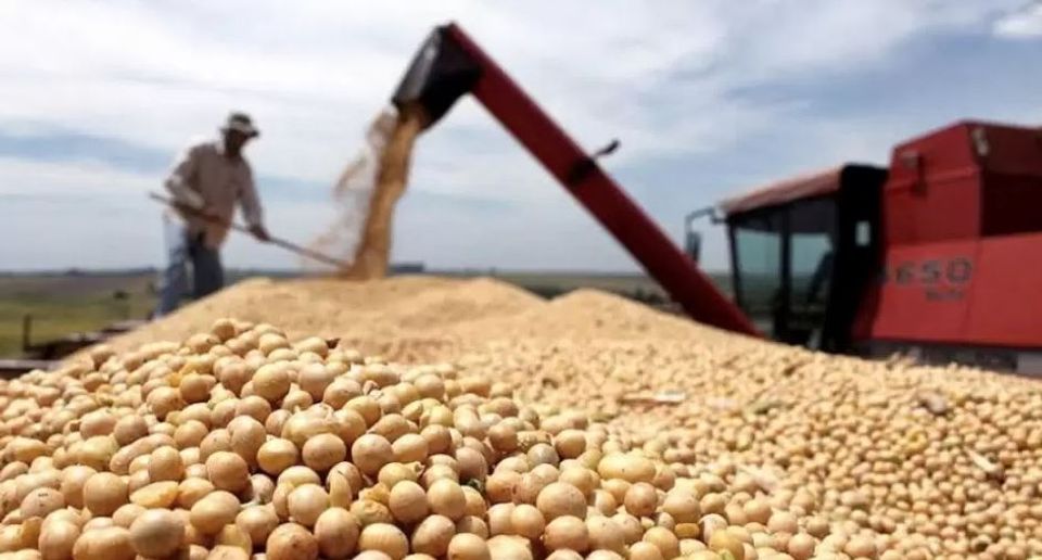 Las economías provinciales y una estructura productiva agotada