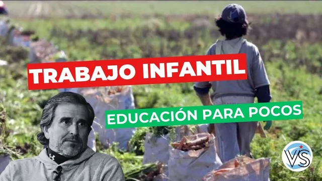 EL MODELO BERTIE: Trabajo infantil en Misiones – Ezequiel Flores