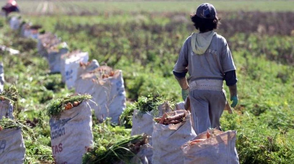 Una medida contra el trabajo infantil en Misiones